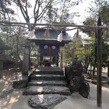 お店の目の前の八重垣神社にある、男性器の祠