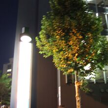 ビルの下の階が駐車場ですが空いていました