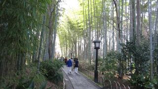 整備された小径