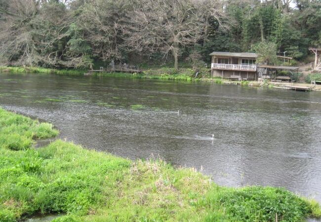 日本で最も短い一級河川