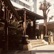 Amazon.co.jp: 日本神道と天寿学 : 太田 龍: Japanese Books