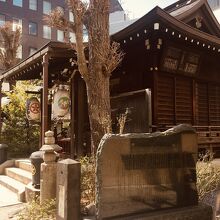 【在庫SALE！】日本神道と天寿学 太田龍 日本神道と天寿学 | 太田 龍 |本 | 通販 | Amazon