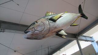 沖縄グルメ最高でぇ～す