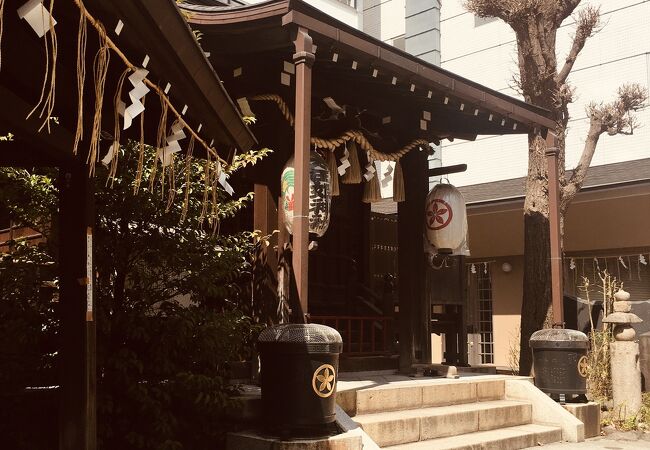 【在庫SALE！】日本神道と天寿学 太田龍 Amazon.co.jp: 日本神道と天寿学 : 太田 龍: Japanese Books