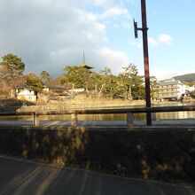 猿沢池と興福寺五重塔