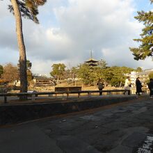 猿沢池と興福寺五重塔
