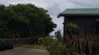 アジアン料理とお土産