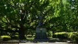 阿波国の大名に任じられた戦国武士