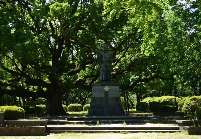 阿波国の大名に任じられた戦国武士