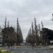 1、2年生の学部生が学ぶキャンパス