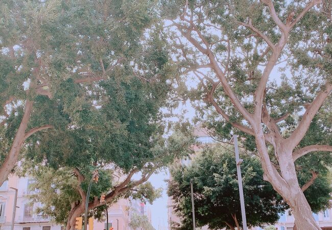 グリーンが気持ちいい