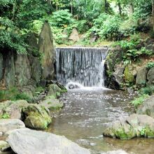 小石川後楽園(白糸の滝)