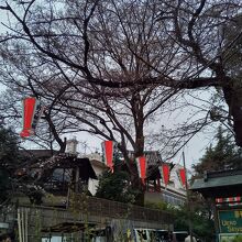 寛永寺の時の鐘