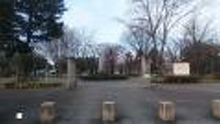 よく整備された落ち着いた雰囲気の公園