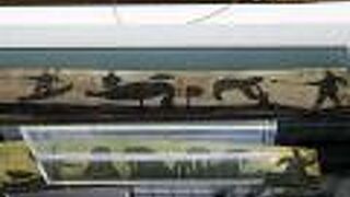 魅せかたに工夫が感じられて細かいところまで知ることが出来る：市北方民族資料館