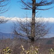 パインビークは貸し切り