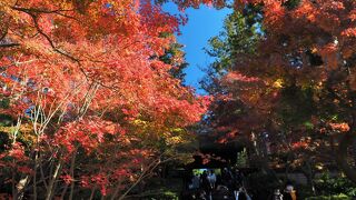 北鎌倉で紅葉が美しいお寺