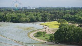 有名すぎるみはらしの丘！