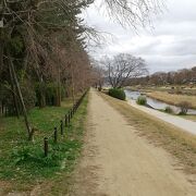 加茂川の散歩道
