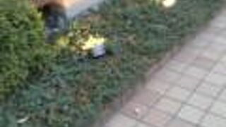 展示の質は高いです