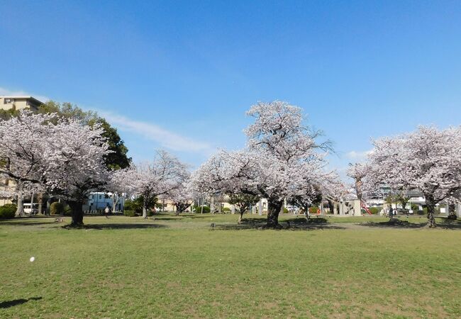 豊川稲荷に隣接する桜の樹が多い公園