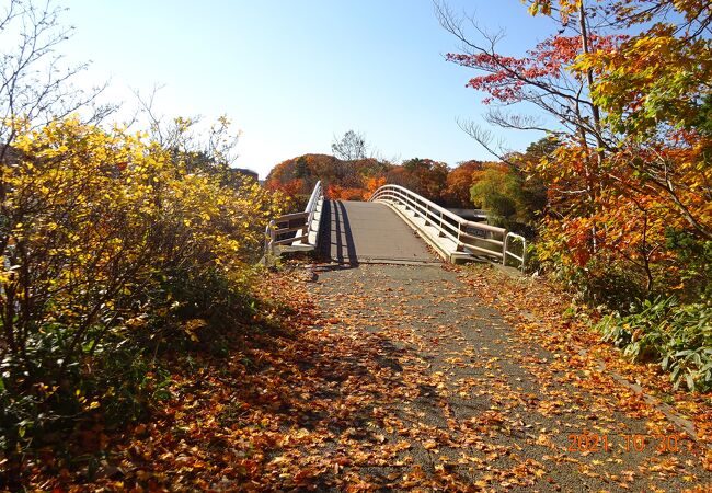 紅葉が美しい