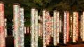 ライトアップされていてきれいでした