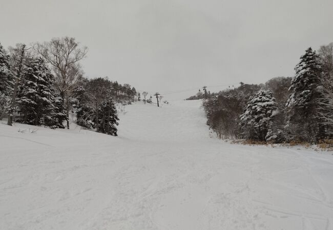 志賀高原中央エリア「東館山スキー場」