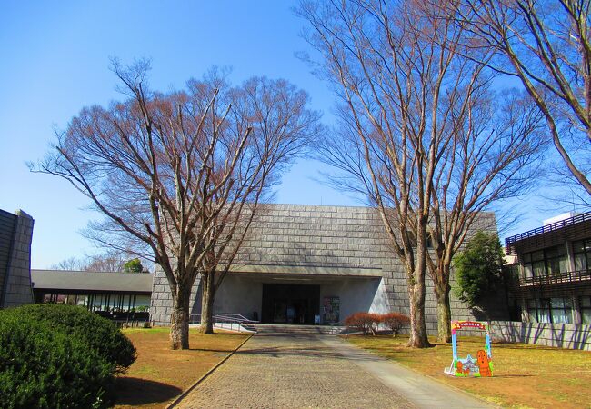 Amazon.co.jp: 古文書 水戸大平記 茨城県 水戸 歴史 : おもちゃ