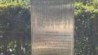 現在は七代目の松だそうです。