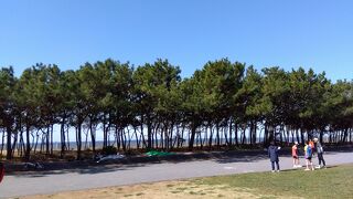稲毛海浜公園