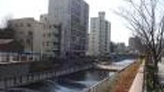 春の訪れが近いと感じました