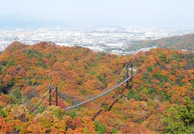 紅葉とってもきれいでした