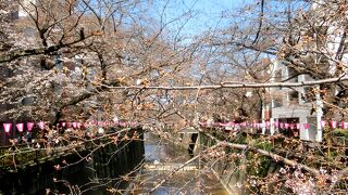 ~~匸Pヽ(｀▽´*)中目黒にあるスタバ★コーヒーの香りをより引き立たせるロースタリーバリスタおすすめの飲み方を楽しもう♪