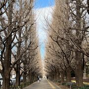 紅葉の季節に訪れてみたい神宮外苑