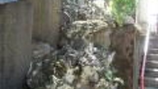 富士講の流行りを感じる石碑群