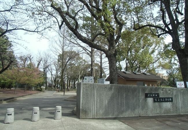 駅からも見下ろせるしょうぶ園が最大の見どころ