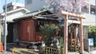 桜が満開でした