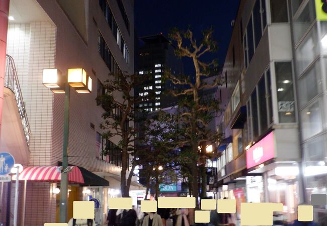 静岡市内中心部の賑わった通りでした。