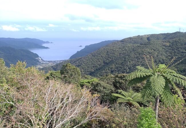 油井岳展望台