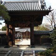 庭木が適度にあり落ち着いた寺院