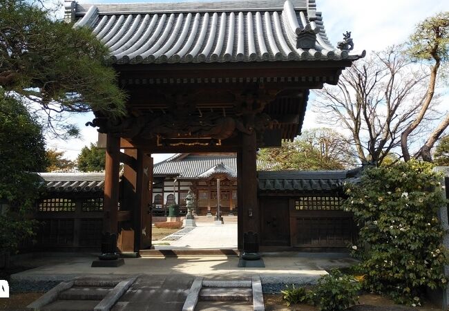 庭木が適度にあり落ち着いた寺院