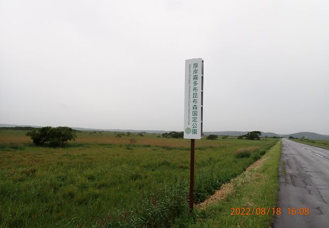 根釧原野