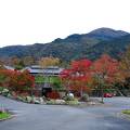 由布院(金鱗湖)観光には絶好