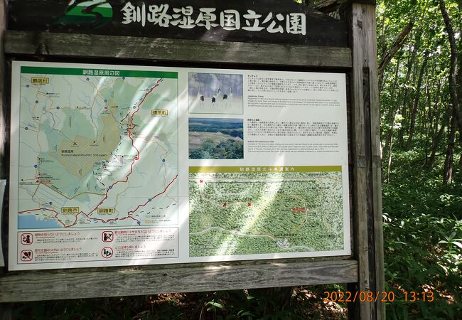 Amazon.com: アラスカ 光と風 (福音館日曜日文庫