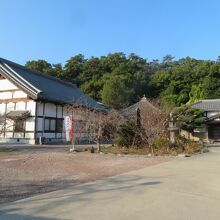 養珠寺