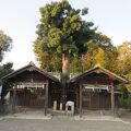 鳴神社