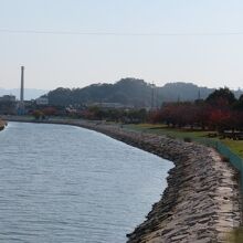 市民の憩いの場です