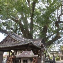 藤白神社