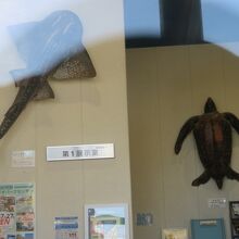 海辺の雰囲気を感じる博物館です